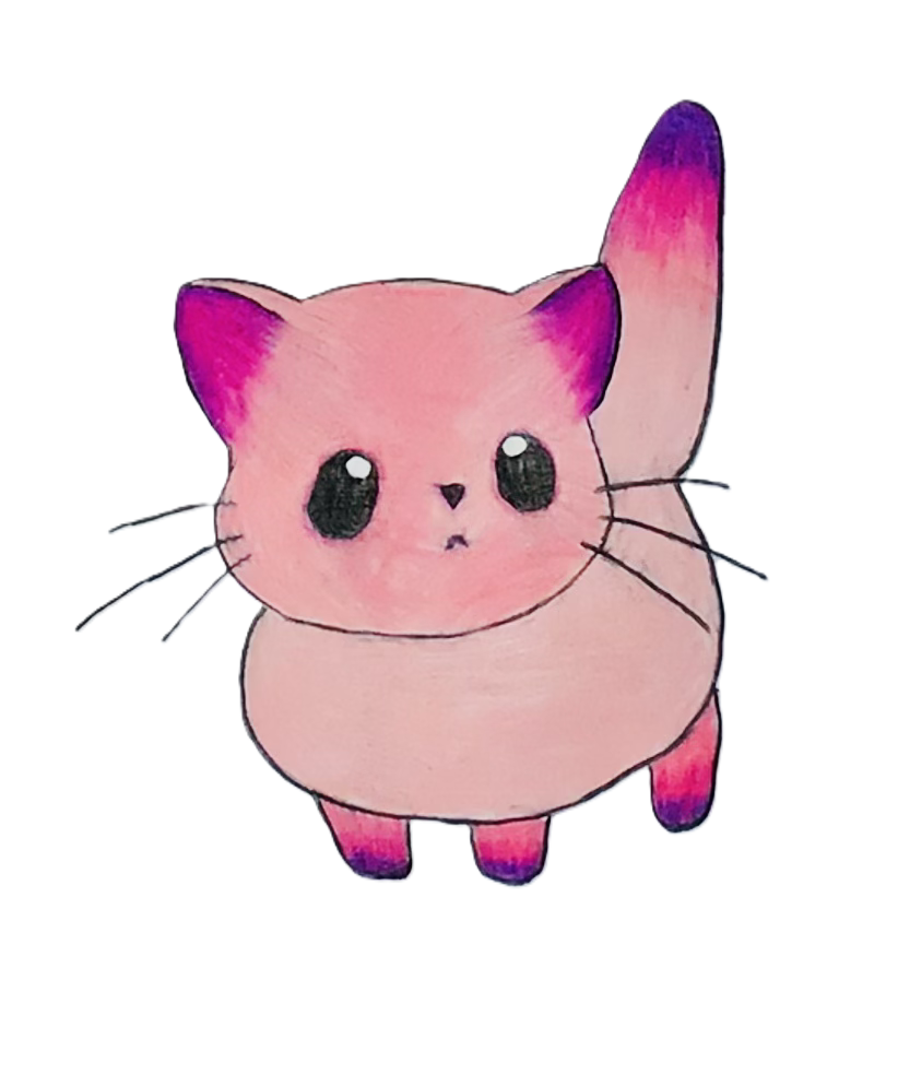 pink cat